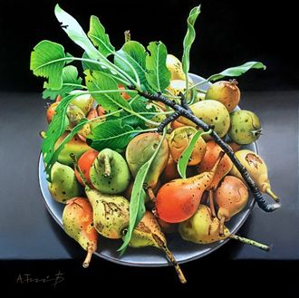 Pears From the Countryside