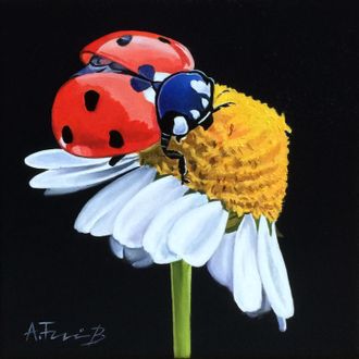 Ladybug on a Flower