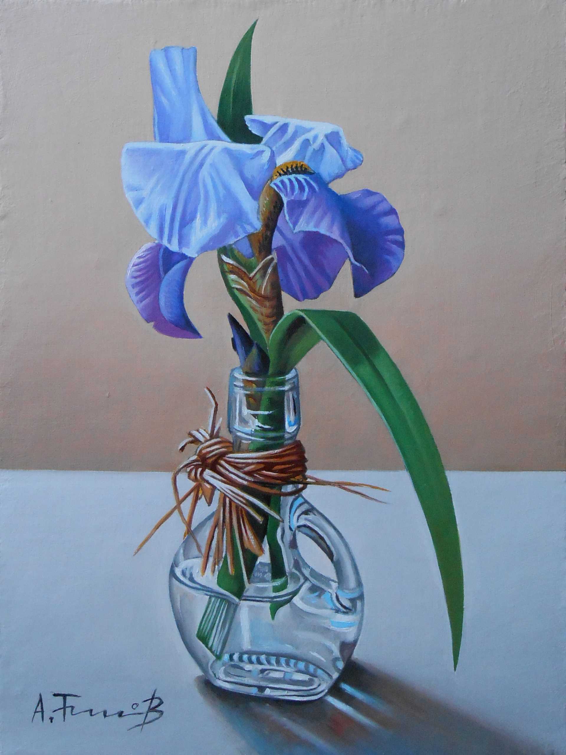 Still Life with Iris