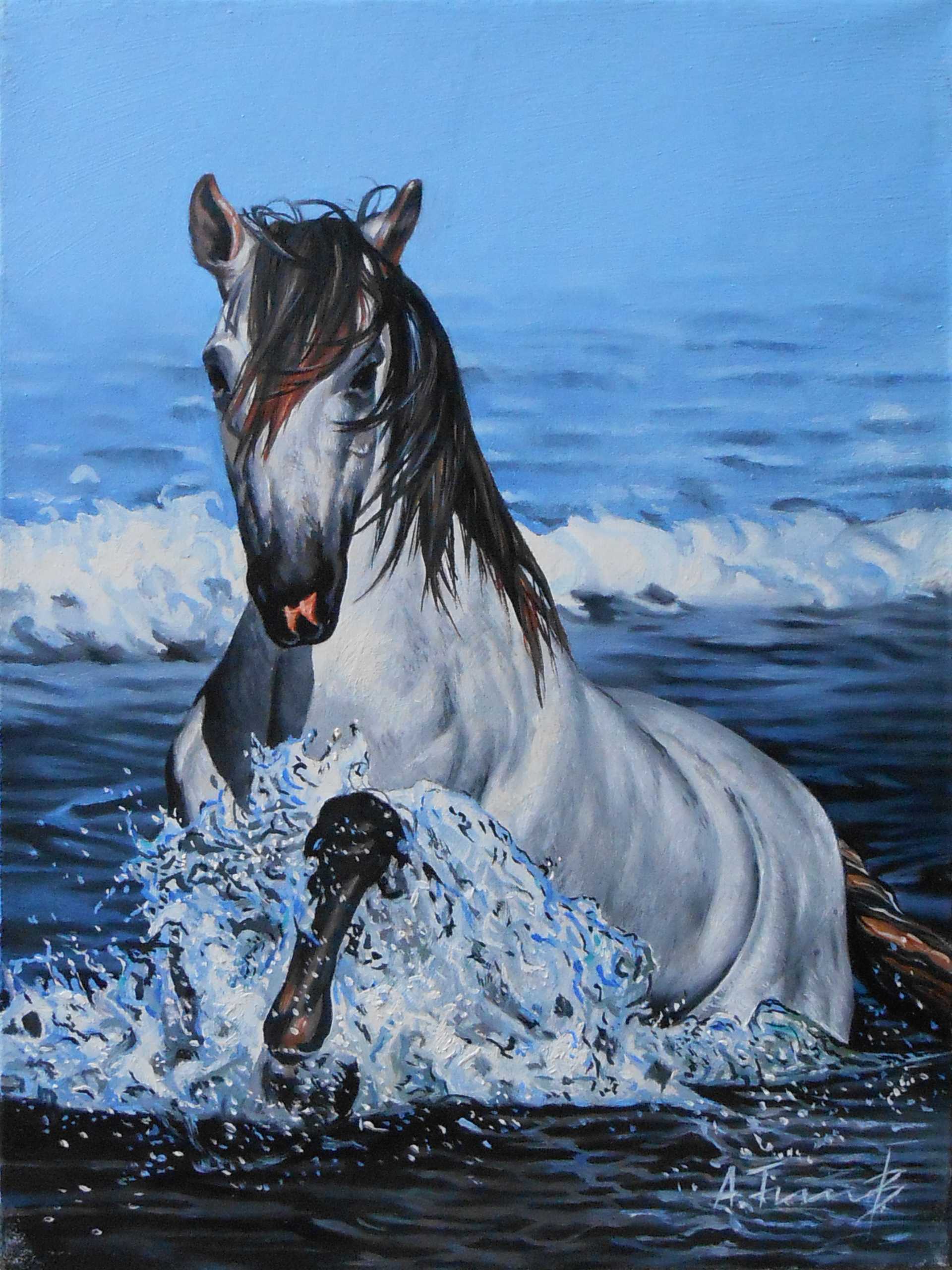 Horse and Sea