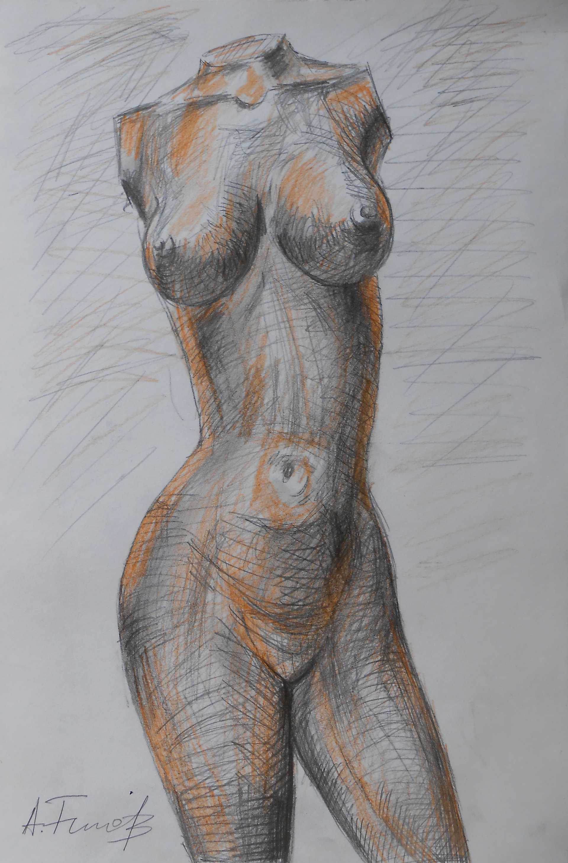 Torso Drawing II